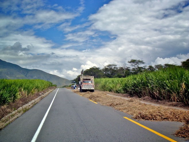 ECU Mas Road Farming